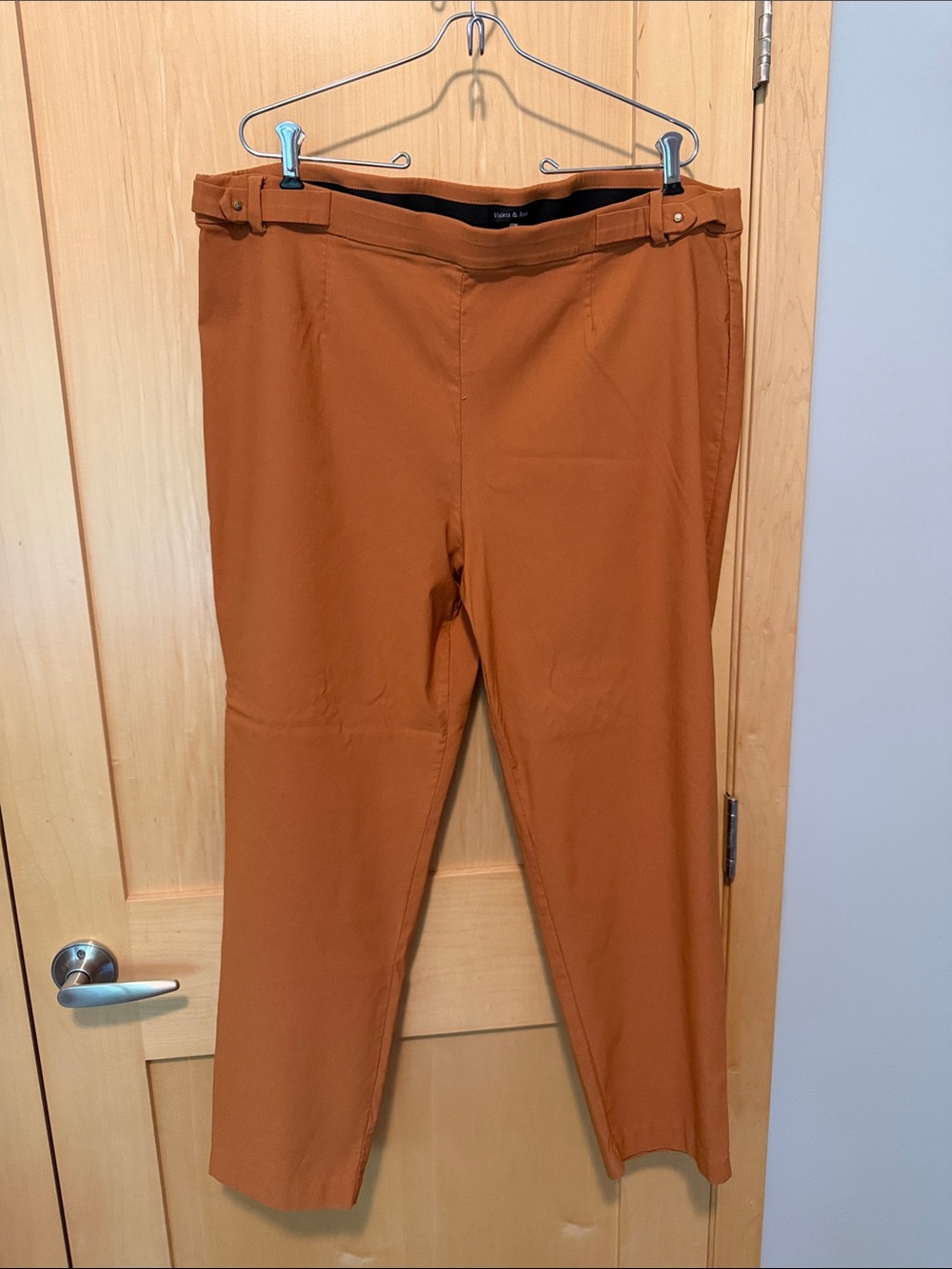 Violets & Roses Rust-Orange Straight Leg Pants (22W)